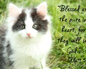 Kitten with Bible Verse-5X7 art print, young black & white kitten