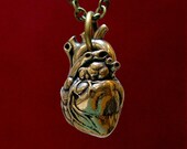 Anatomical Heart In Solid Bronze