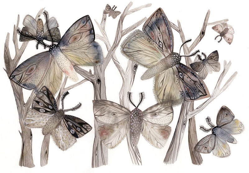 Moths - Large Print of Watercolor