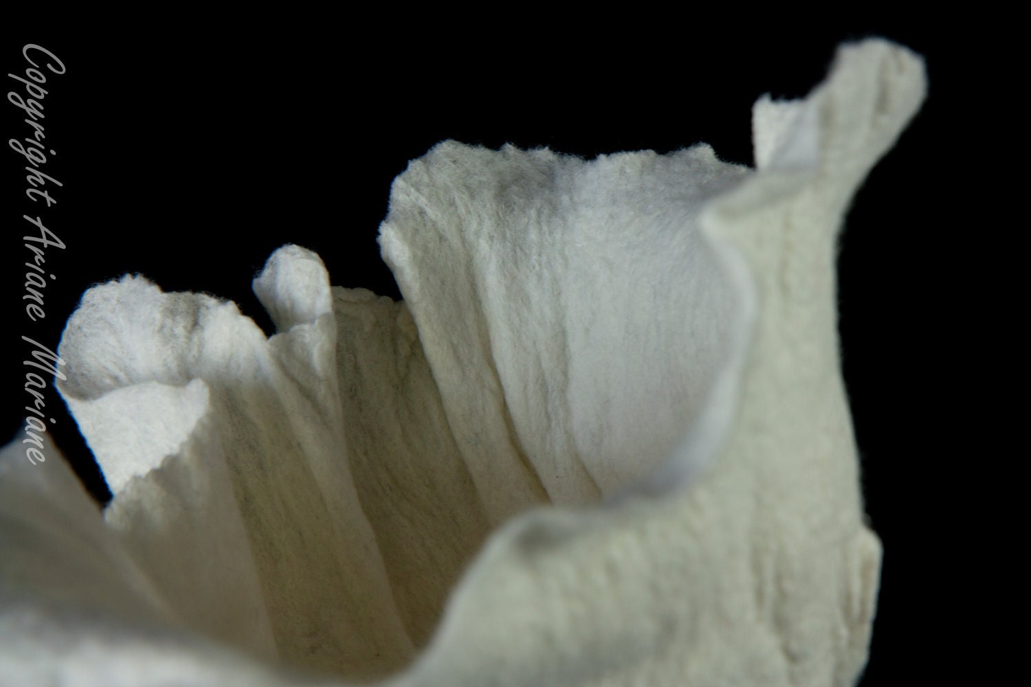 Elegant white fiber art sculpture / for flowers - ArianeMariane
