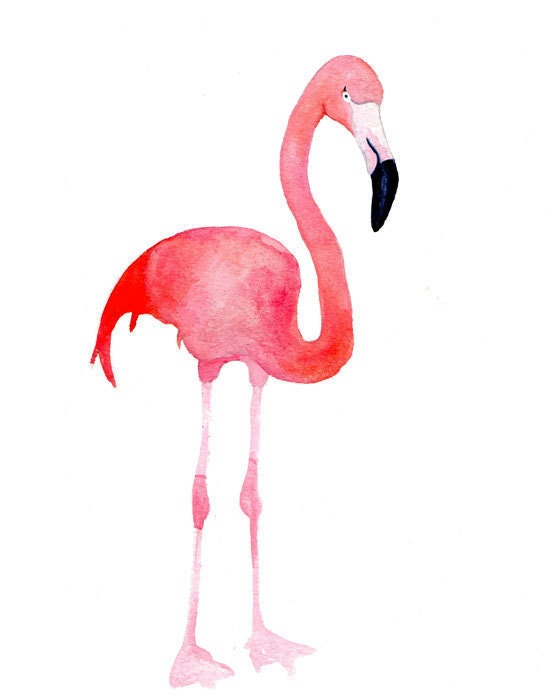 Flamingo Art - Pretty Flamingo - 8 x 10 - FREE SHIPPING