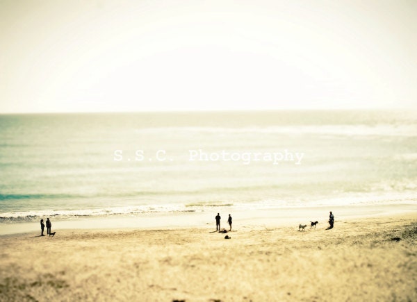 Beach Photo. "Santa Cruz Spring". 8.5x11inch. Tilt Shift. People. Ocean. beach. sea. gold. gray. blue. vintage. pale. summer. spring