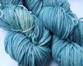 Specked Robin's Egg Supewash Merino Worsted Weight Yarn
