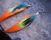 Bright orange feather earrings