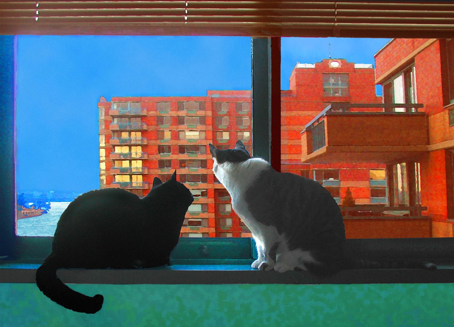 Cat Card-Set of 5 Cat Cards-City Cats