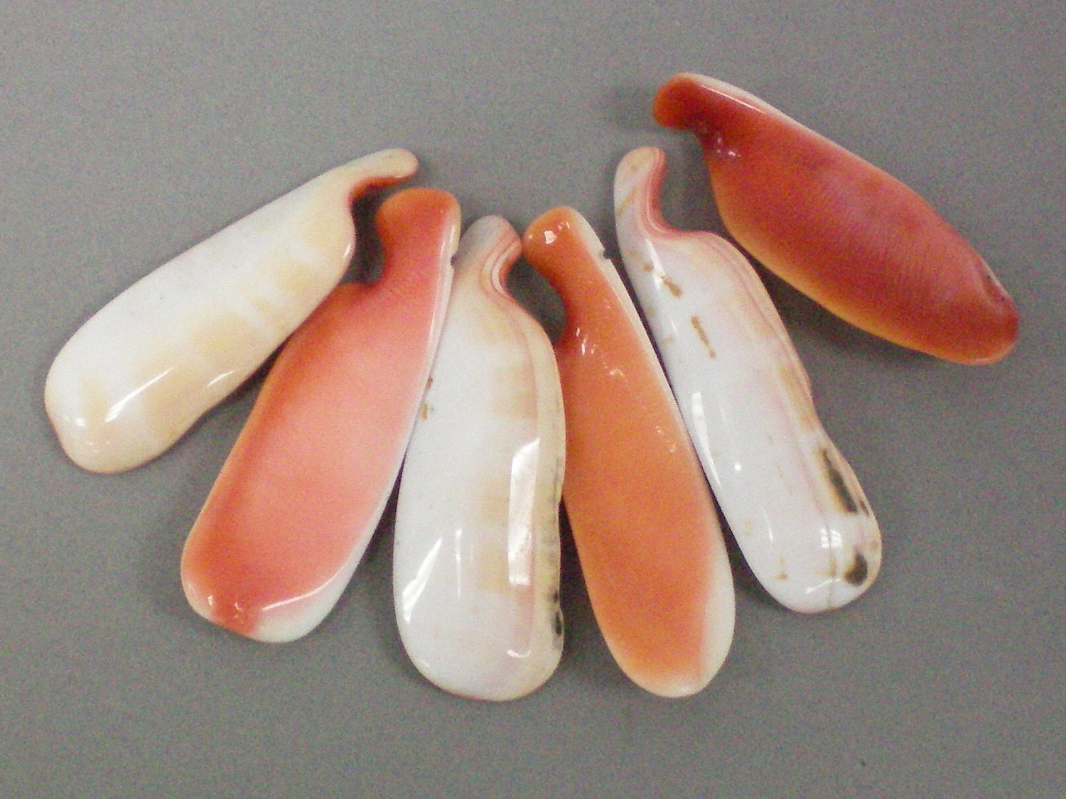 Fingers of Shells