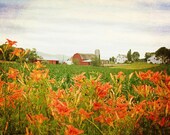 Springtime Farm - FINE ART PHOTOGRAPHY 5x7 Unmatted Print