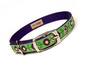 purple and lime mod flora metal buckle dog or cat collar (1/2 inch)
