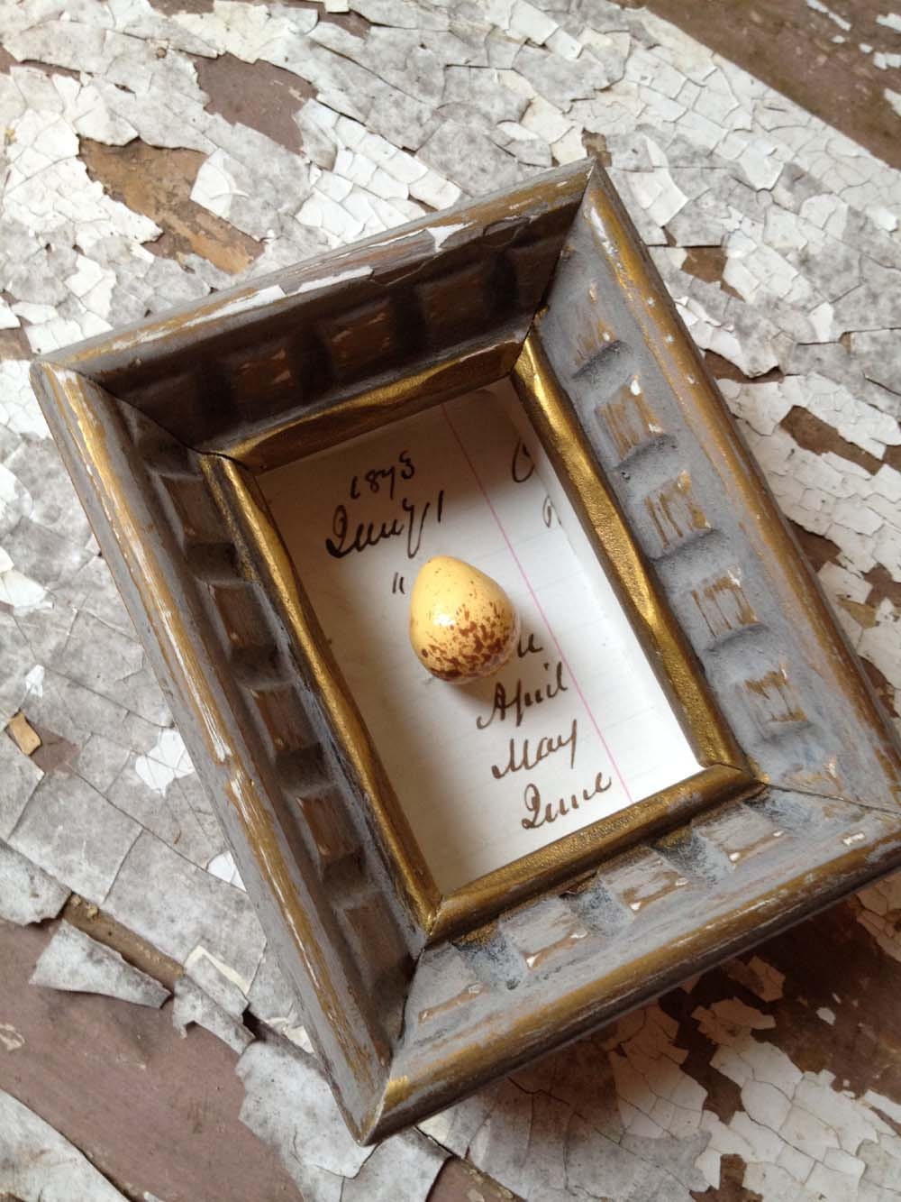 Mixed Media Egg on Vintage Ledger Shadow Box