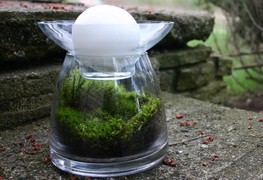 Moss Terrarium with Candle Holder, Fathers Day Gift