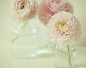Reverie . whimsical flower photography . modern home decor . pastel pink print . simple zen art . cottage chic home decor - joystclaire Reverie . whimsical flower photography . modern home decor . pastel pink print . simple zen art . cottage chic home decor - joystclaire