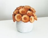 NEW... protea mound, dried flower arrangement