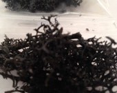 Black Eggplant Purple Reindeer Moss