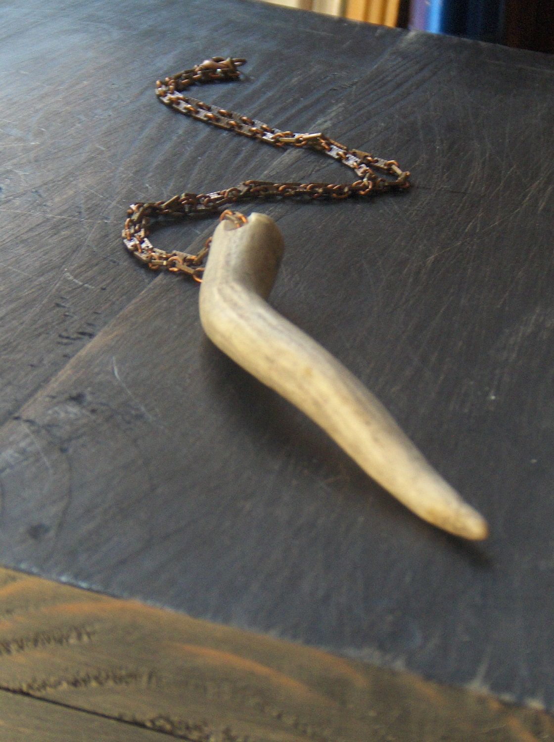 White Stag No. 3. Simple rustic unisex deer antler necklace