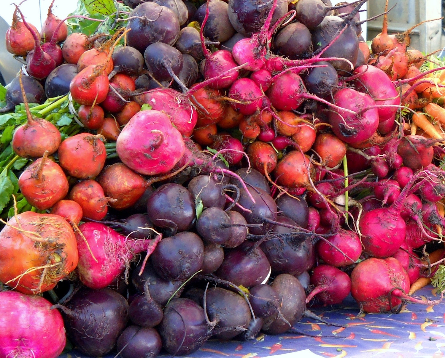 Veggies Beets Radishes Photo Farmers Market Gift Napa Kitchen Home Decor 8x10 - WildInspirationPhoto