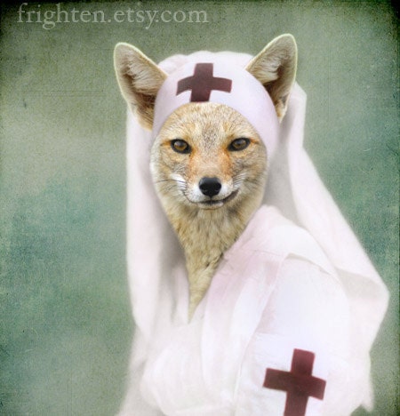 Teal Green and White Fox Art Print, Nurse Foxy, Altered Vintage Photo - frighten