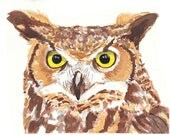 SALE - Original Owl Watercolor  - Great Horned Owl, Nature Art, 10x8