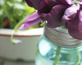 Jar with Frog Lid