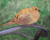 Original Watercolour Painting - The Spring Dove in Paris