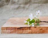 Small Cutting Board, Natural Edge Salvaged Wood 607
