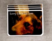 Sympathy Dog Handmade Greeting Card-Sorry for your loss-Set of 4