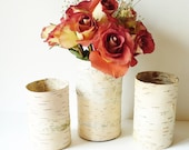 Birch Bark Vase Rustic Country Cottage Farmhouse Woodland Natural Wedding Table Setting Set of 3 - jadenrainspired Birch Bark Vase Rustic Country Cottage Farmhouse Woodland Natural Wedding Table Setting Set of 3 - jadenrainspired