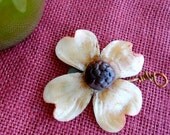 Champagne Dogwood