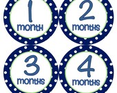 Baby Month Stickers Baby Boy Monthly Onesie Stickers Blue Green First Year Boy Month Stickers Baby Shower Gift and Photo Prop Gavin