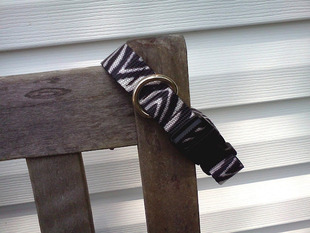 You design your dog collar 1 inch wide size small zebra shown