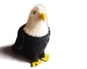 Bald Eagle, American