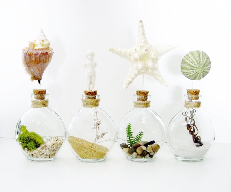 Seaside Glass Bottle Terrarium Collection