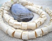 Fish Bones - Real Bones - Bone Beads - Fish Skeleton - Bead Supplies -