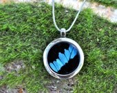 Real Butterfly Wing Pendant Necklace Reversible