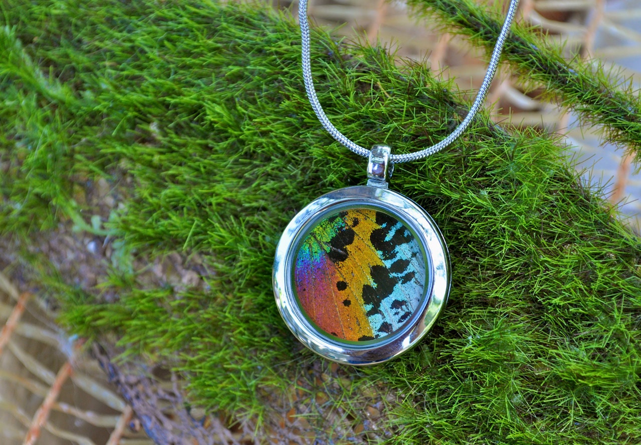 Real Moth Wing Pendant Necklace Reversible