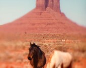 horses,horse photography,nature print,travel photography,desert,navajo land,tribal,native american,equine