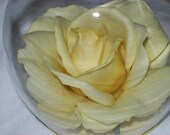 Glass Rose Candle Holder /Yellow/World of Roses Collection