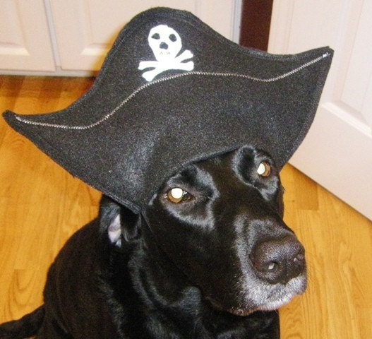 Custom Dog Costume Rrrrh matey I Be A Pirate