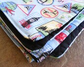 Blue Destination Travel Nap Mat Blanket
