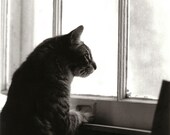 Original 5x7 Photo Sebastian 1