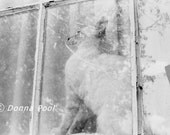 Original 5x7 Photo Snowflake 2