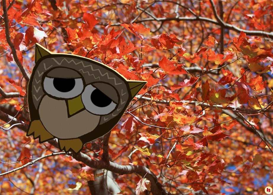 Is it a hoot (question mark)