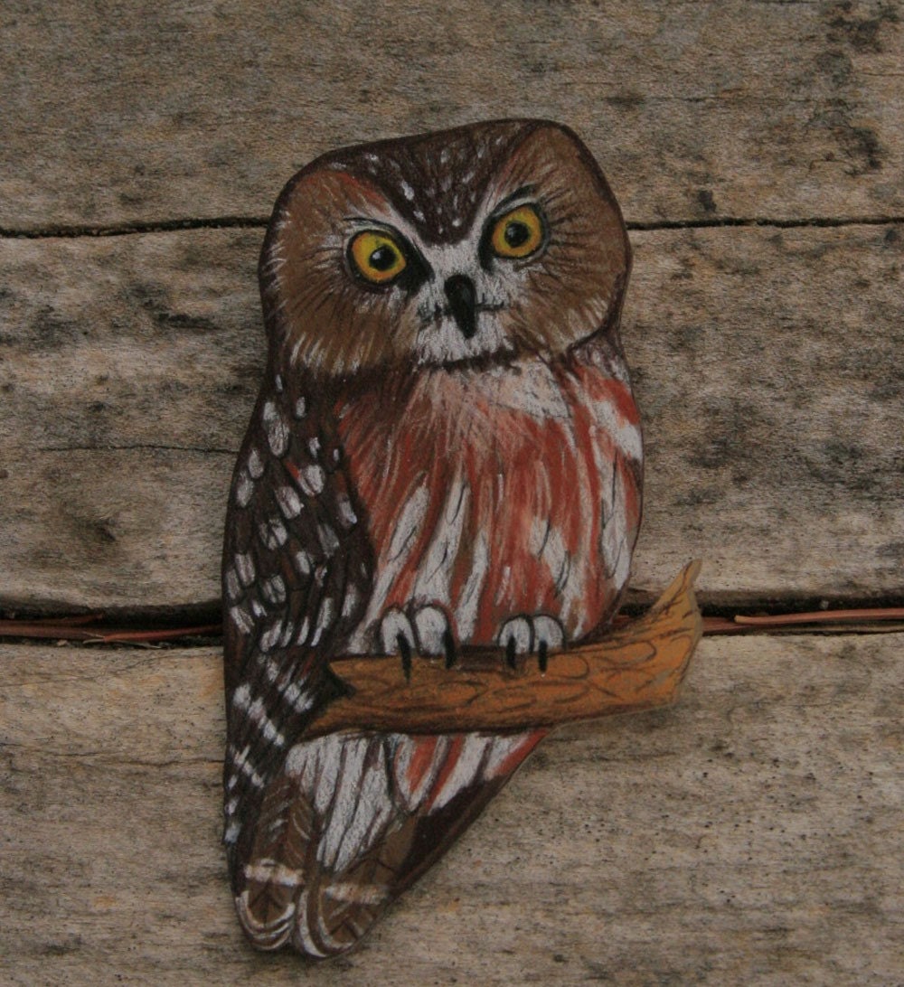 hawk owl brooch