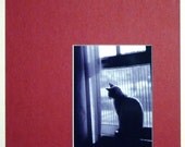 Snowflake 5 Matted Photograph ACEO