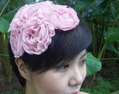 The Rosalind, cluster of blush roses