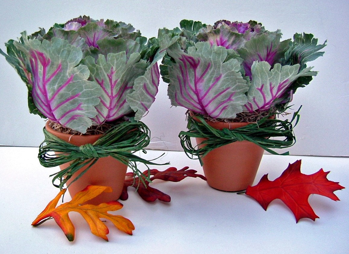 Ornamental Cabbage Planter Pair