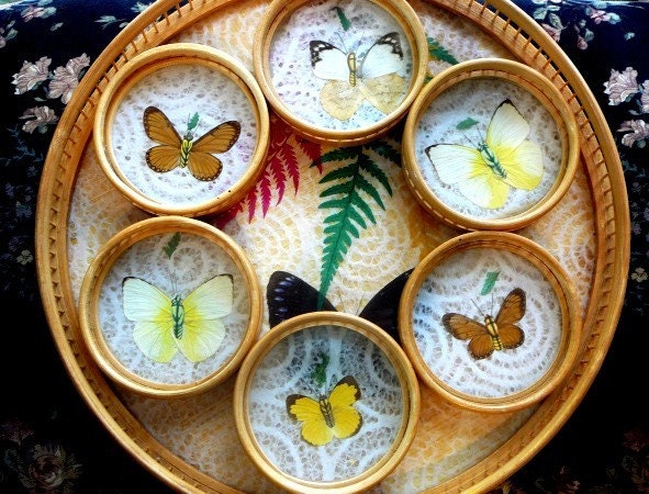 Bamboo/Glass Butterfly Vintage Serving Tray with 6 Butterfly Coasters
