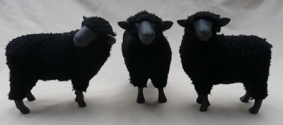 Black Sheep Trio