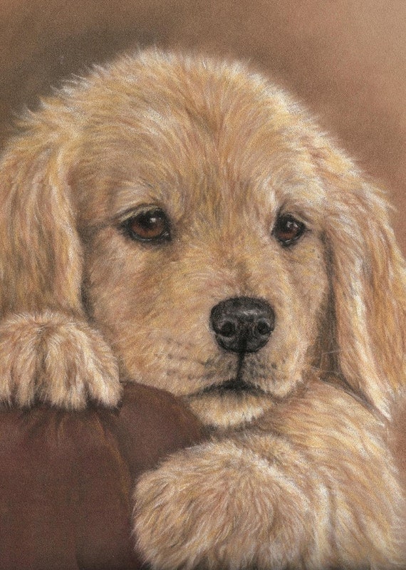 Golden Retriever Pup ACEO Print