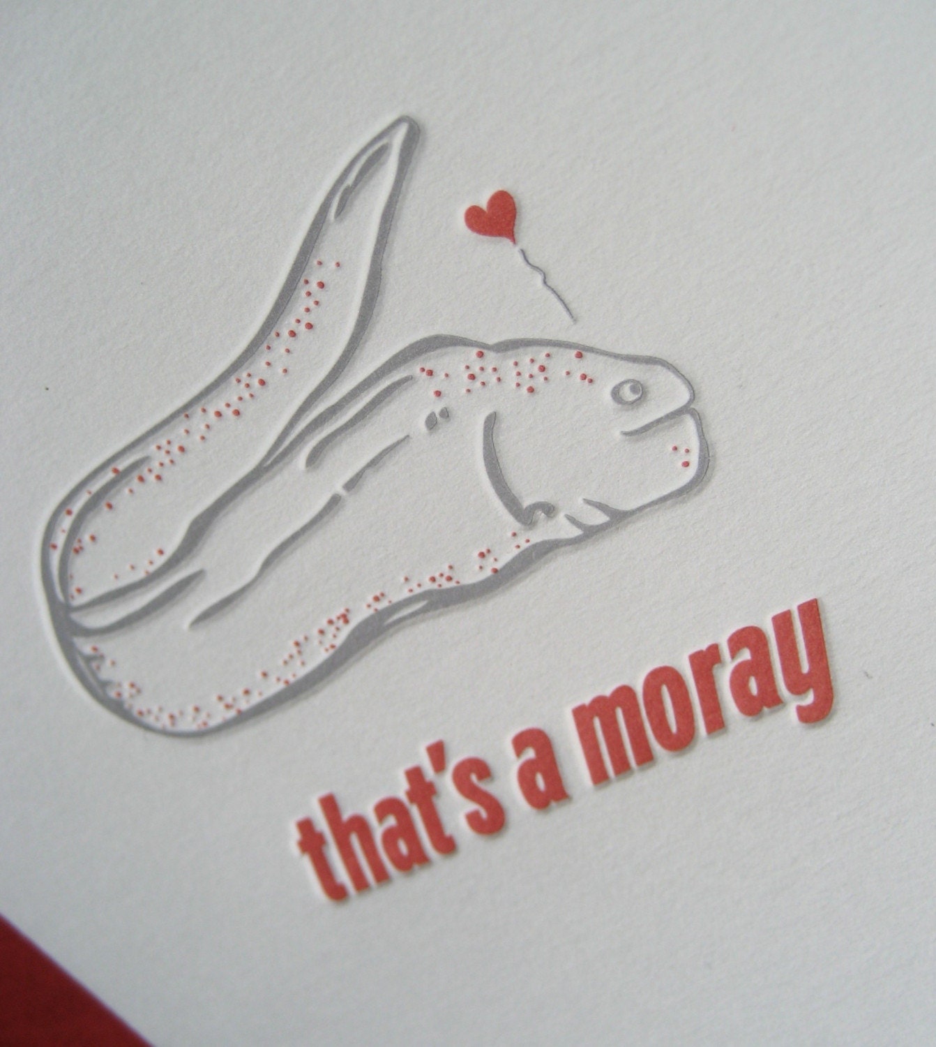 that's a moray
