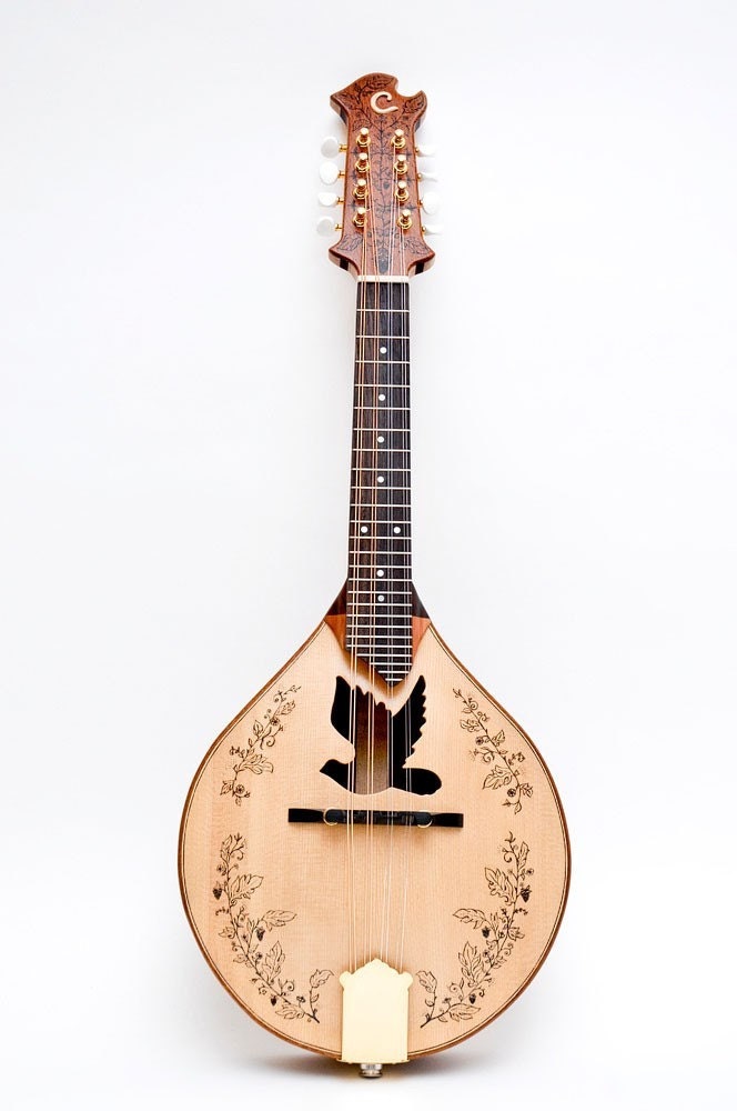 Dove Hole Mandolin by Celentano Woodworks